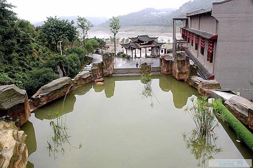 1575173551611559.jpg 1-3_副本.jpg