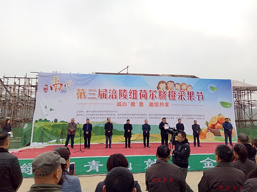 橙纽妞获第三届涪陵纽荷尔脐橙采果节“脐橙大