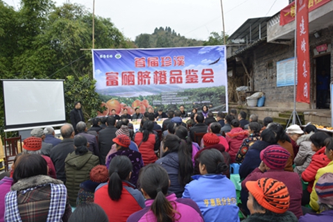 1576942184916569.jpg 1-1_副本.jpg