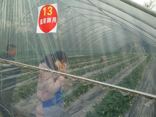 1576943963710288.jpg 3-3_副本_副本.jpg