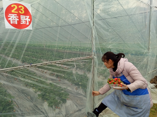 1576943952517888.jpg 3-2_副本_副本.jpg