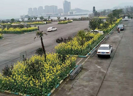 1585207957393177.jpg 0-5_副本.jpg