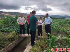 三农工委赴云南省施甸县参加建党百年庆祝活动暨航天育种基地选址考察